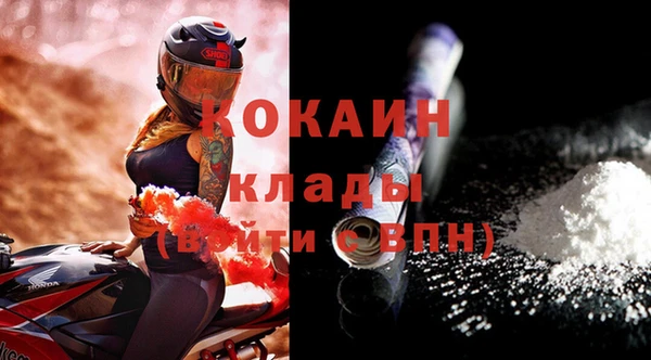 стафф Данков