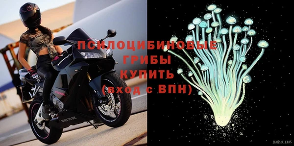 прущие грибы Дедовск