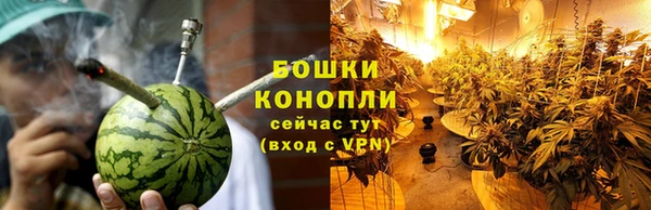 стафф Зерноград