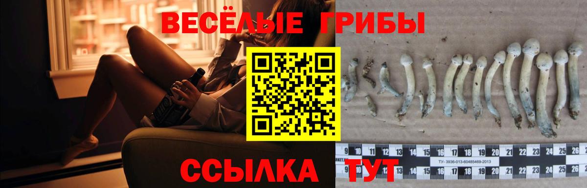 где найти   Вход с VPN  Избербаш  Галлюциногенные грибы MAGIC MUSHROOMS 